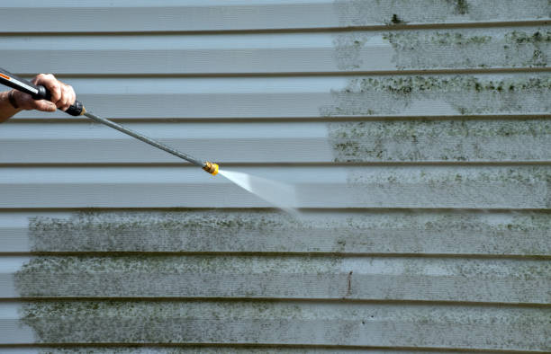 Best Pool Deck Cleaning  in Dunlap, OH